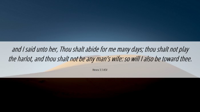 Picture 06 - Hosea 3:3 ASV Desktop Wallpaper - and I said unto her, Thou shalt abide for me many - Desktop Bible Verse Wallpaper