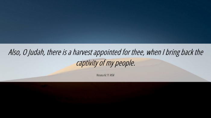 Picture 06 - Hosea 6:11 ASV Desktop Wallpaper - Also, O Judah, there is a harvest appointed for - Desktop Bible Verse Wallpaper