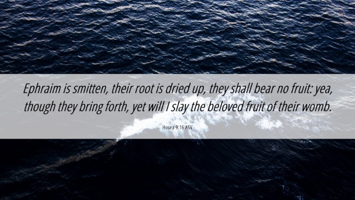 Picture 06 - Hosea 9:16 ASV Desktop Wallpaper - Ephraim is smitten, their root is dried up, they - Desktop Bible Verse Wallpaper