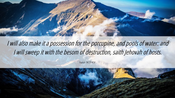 Picture 06 - Isaiah 14:23 ASV Desktop Wallpaper - I will also make it a possession for the - Desktop Bible Verse Wallpaper