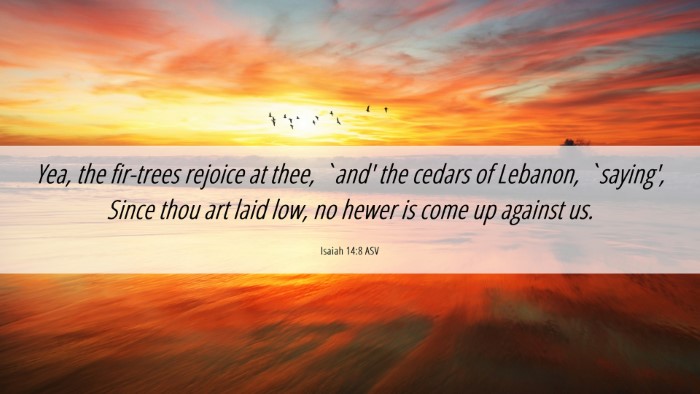Picture 06 - Isaiah 14:8 ASV Desktop Wallpaper - Yea, the fir-trees rejoice at thee, `and' the - Desktop Bible Verse Wallpaper