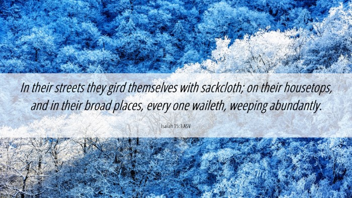 Picture 06 - Isaiah 15:3 ASV Desktop Wallpaper - In their streets they gird themselves with - Desktop Bible Verse Wallpaper