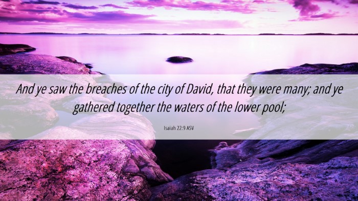 Picture 06 - Isaiah 22:9 ASV Desktop Wallpaper - And ye saw the breaches of the city of David, - Desktop Bible Verse Wallpaper