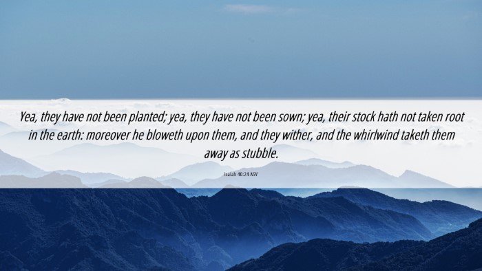 Picture 06 - Isaiah 40:24 ASV Desktop Wallpaper - Yea, they have not been planted; yea, they have - Desktop Bible Verse Wallpaper