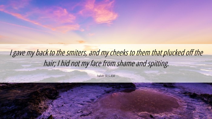Picture 06 - Isaiah 50:6 ASV Desktop Wallpaper - I gave my back to the smiters, and my cheeks to - Desktop Bible Verse Wallpaper