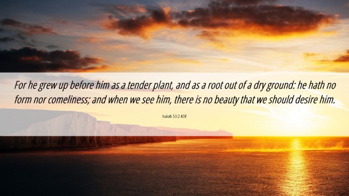 Picture 06 - Isaiah 53:2 ASV Desktop Wallpaper - For he grew up before him as a tender plant, and - Desktop Bible Verse Wallpaper