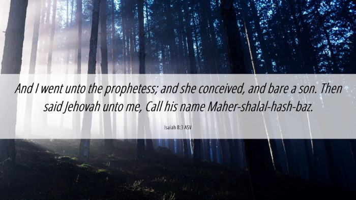 Picture 06 - Isaiah 8:3 ASV Desktop Wallpaper - And I went unto the prophetess; and she - Desktop Bible Verse Wallpaper