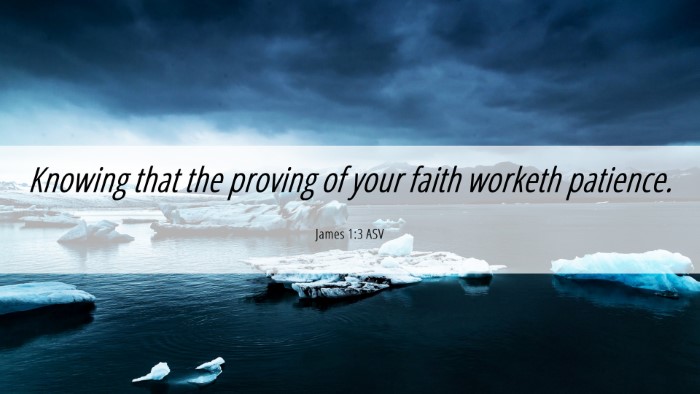 Picture 06 - James 1:3 ASV Desktop Wallpaper - Knowing that the proving of your faith worketh - Desktop Bible Verse Wallpaper