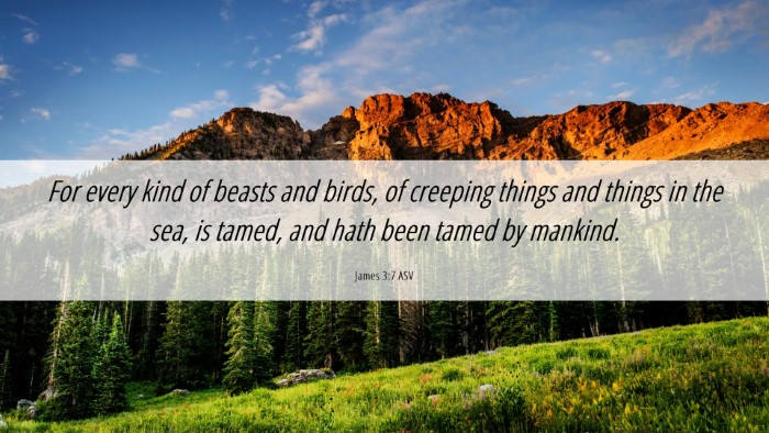 Picture 06 - James 3:7 ASV Desktop Wallpaper - For every kind of beasts and birds, of creeping - Desktop Bible Verse Wallpaper