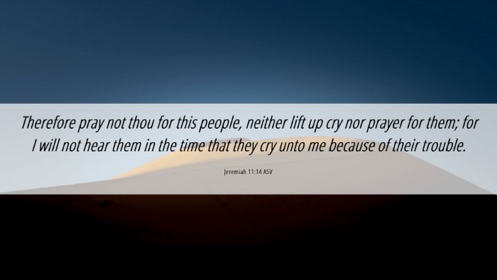 Picture 06 - Jeremiah 11:14 ASV Desktop Wallpaper - Therefore pray not thou for this people, neither - Desktop Bible Verse Wallpaper