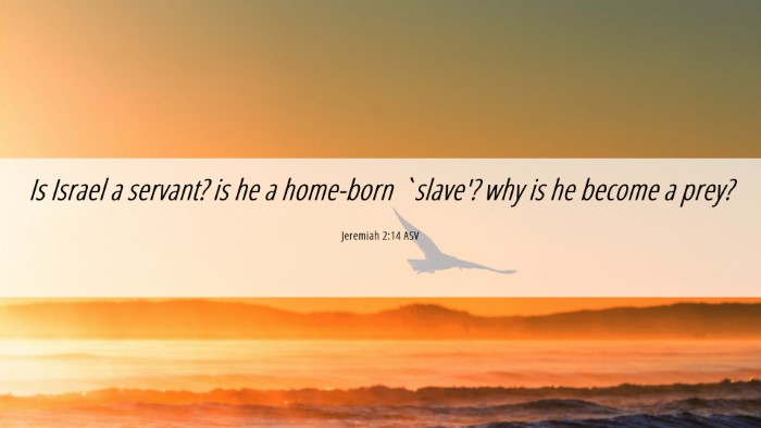 Picture 06 - Jeremiah 2:14 ASV Desktop Wallpaper - Is Israel a servant? is he a home-born `slave'? - Desktop Bible Verse Wallpaper