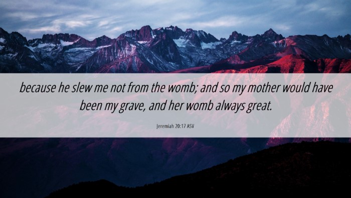 Picture 06 - Jeremiah 20:17 ASV Desktop Wallpaper - because he slew me not from the womb; and so my - Desktop Bible Verse Wallpaper