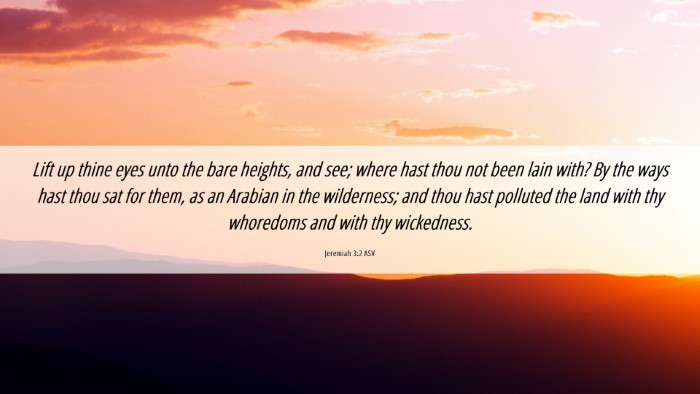 Picture 06 - Jeremiah 3:2 ASV Desktop Wallpaper - Lift up thine eyes unto the bare heights, and - Desktop Bible Verse Wallpaper