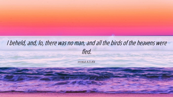 Picture 06 - Jeremiah 4:25 ASV Desktop Wallpaper - I beheld, and, lo, there was no man, and all the - Desktop Bible Verse Wallpaper