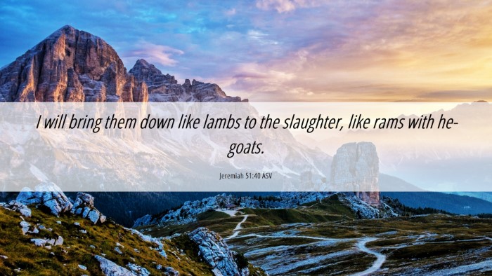 Picture 06 - Jeremiah 51:40 ASV Desktop Wallpaper - I will bring them down like lambs to the - Desktop Bible Verse Wallpaper