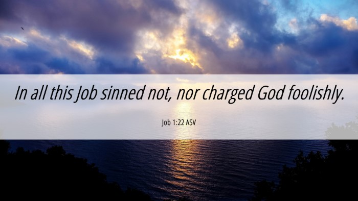 Picture 06 - Job 1:22 ASV Desktop Wallpaper - In all this Job sinned not, nor charged God - Desktop Bible Verse Wallpaper