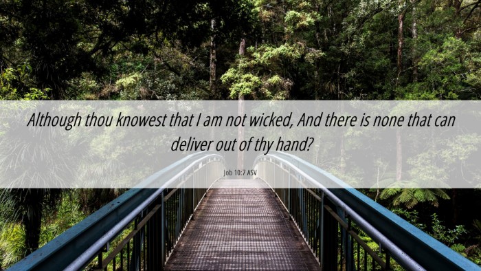 Picture 06 - Job 10:7 ASV Desktop Wallpaper - Although thou knowest that I am not wicked, And - Desktop Bible Verse Wallpaper