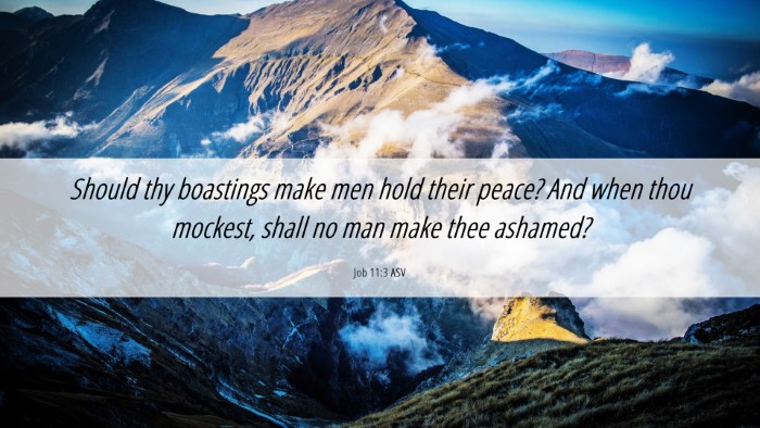 Picture 06 - Job 11:3 ASV Desktop Wallpaper - Should thy boastings make men hold their peace? - Desktop Bible Verse Wallpaper