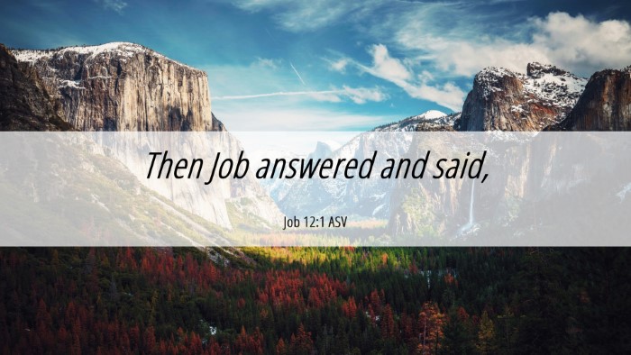 Picture 06 - Job 12:1 ASV Desktop Wallpaper - Then Job answered and - Desktop Bible Verse Wallpaper