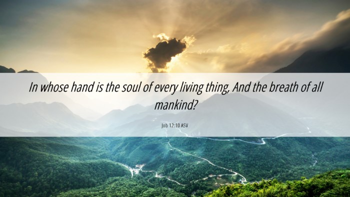 Picture 06 - Job 12:10 ASV Desktop Wallpaper - In whose hand is the soul of every living thing, - Desktop Bible Verse Wallpaper