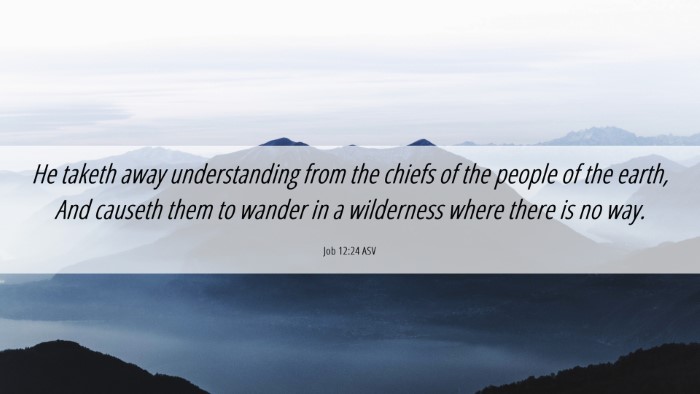 Picture 06 - Job 12:24 ASV Desktop Wallpaper - He taketh away understanding from the chiefs of - Desktop Bible Verse Wallpaper