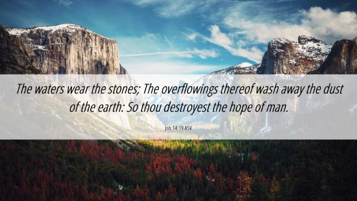 Picture 06 - Job 14:19 ASV Desktop Wallpaper - The waters wear the stones; The overflowings - Desktop Bible Verse Wallpaper