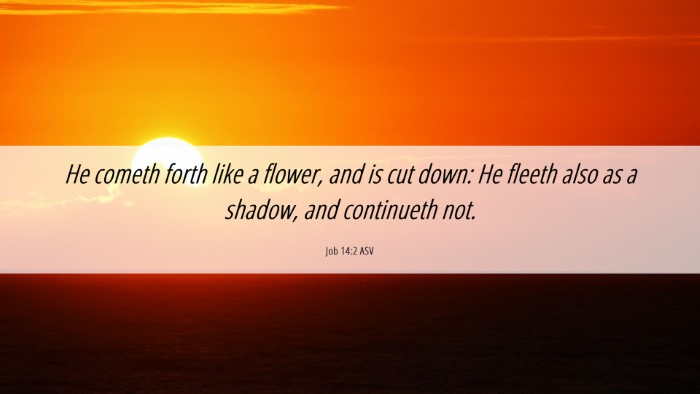 Picture 06 - Job 14:2 ASV Desktop Wallpaper - He cometh forth like a flower, and is cut down: - Desktop Bible Verse Wallpaper