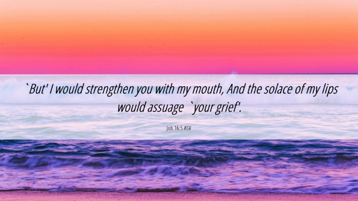 Picture 06 - Job 16:5 ASV Desktop Wallpaper - `But' I would strengthen you with my mouth, And - Desktop Bible Verse Wallpaper