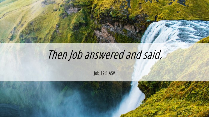 Picture 06 - Job 19:1 ASV Desktop Wallpaper - Then Job answered and - Desktop Bible Verse Wallpaper