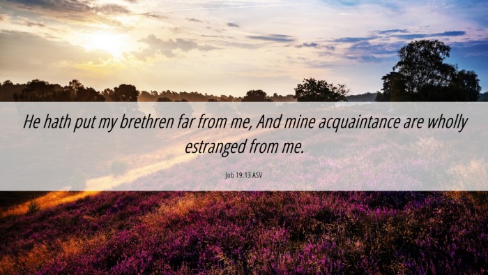 Picture 06 - Job 19:13 ASV Desktop Wallpaper - He hath put my brethren far from me, And mine - Desktop Bible Verse Wallpaper