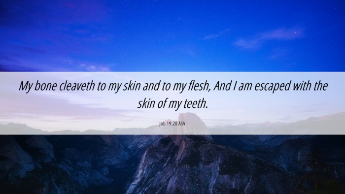 Picture 06 - Job 19:20 ASV Desktop Wallpaper - My bone cleaveth to my skin and to my flesh, And - Desktop Bible Verse Wallpaper