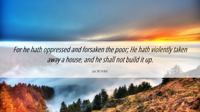 Picture 06 - Job 20:19 ASV Desktop Wallpaper - For he hath oppressed and forsaken the poor; He - Desktop Bible Verse Wallpaper