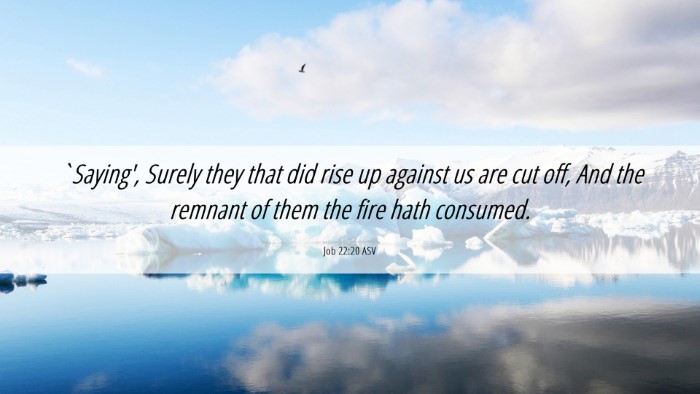 Picture 06 - Job 22:20 ASV Desktop Wallpaper - `Saying', Surely they that did rise up against us - Desktop Bible Verse Wallpaper