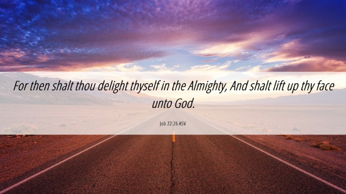 Picture 06 - Job 22:26 ASV Desktop Wallpaper - For then shalt thou delight thyself in the - Desktop Bible Verse Wallpaper