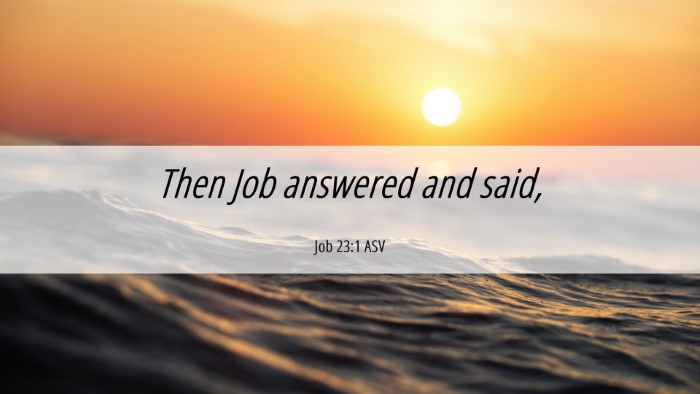 Picture 06 - Job 23:1 ASV Desktop Wallpaper - Then Job answered and - Desktop Bible Verse Wallpaper