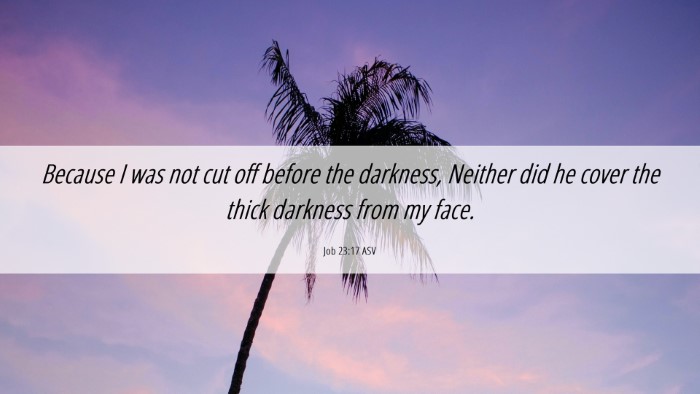 Picture 06 - Job 23:17 ASV Desktop Wallpaper - Because I was not cut off before the darkness, - Desktop Bible Verse Wallpaper