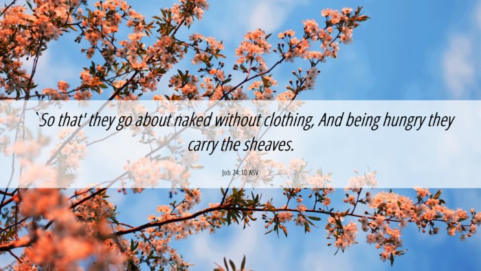 Picture 06 - Job 24:10 ASV Desktop Wallpaper - `So that' they go about naked without clothing, - Desktop Bible Verse Wallpaper