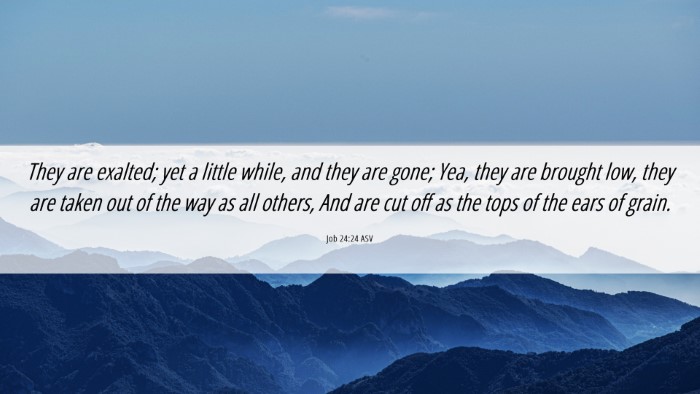 Picture 06 - Job 24:24 ASV Desktop Wallpaper - They are exalted; yet a little while, and they - Desktop Bible Verse Wallpaper