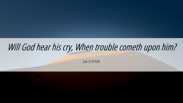 Picture 06 - Job 27:9 ASV Desktop Wallpaper - Will God hear his cry, When trouble cometh upon - Desktop Bible Verse Wallpaper