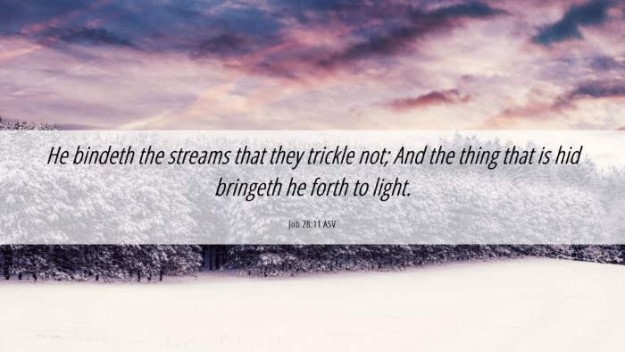 Picture 06 - Job 28:11 ASV Desktop Wallpaper - He bindeth the streams that they trickle not; And - Desktop Bible Verse Wallpaper