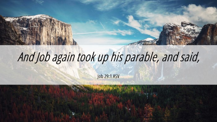 Picture 06 - Job 29:1 ASV Desktop Wallpaper - And Job again took up his parable, and - Desktop Bible Verse Wallpaper