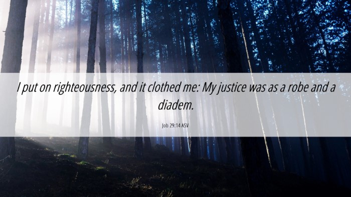 Picture 06 - Job 29:14 ASV Desktop Wallpaper - I put on righteousness, and it clothed me: My - Desktop Bible Verse Wallpaper