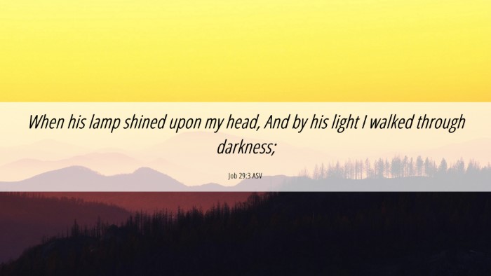 Picture 06 - Job 29:3 ASV Desktop Wallpaper - When his lamp shined upon my head, And by his - Desktop Bible Verse Wallpaper