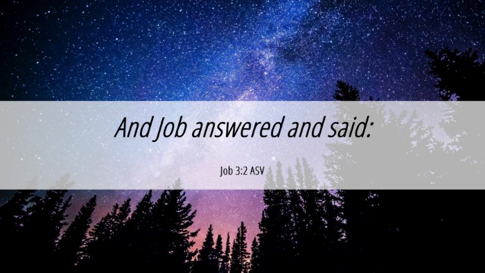 Picture 06 - Job 3:2 ASV Desktop Wallpaper - And Job answered and - Desktop Bible Verse Wallpaper