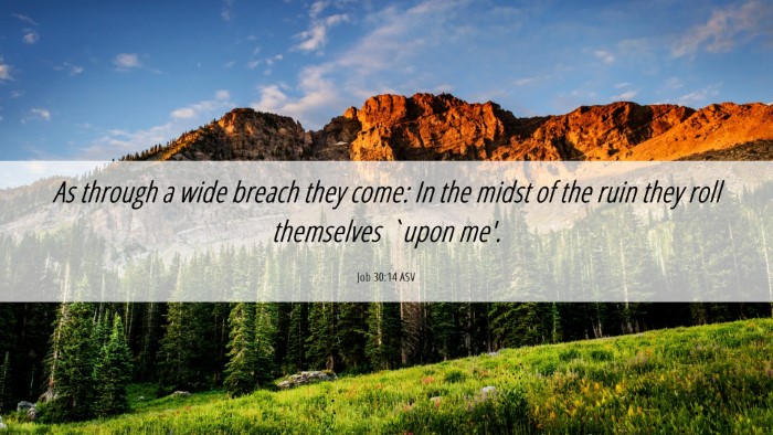 Picture 06 - Job 30:14 ASV Desktop Wallpaper - As through a wide breach they come: In the midst - Desktop Bible Verse Wallpaper