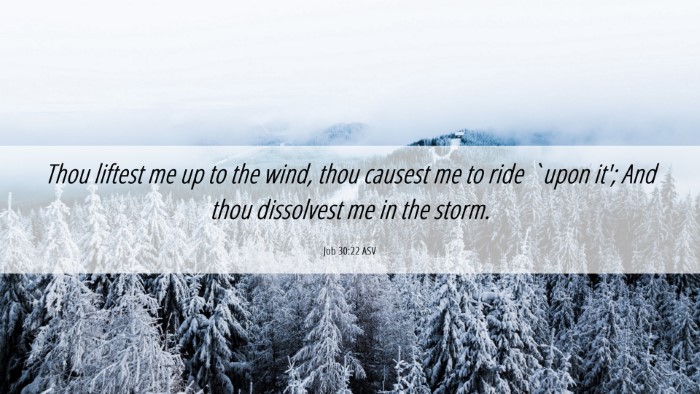 Picture 06 - Job 30:22 ASV Desktop Wallpaper - Thou liftest me up to the wind, thou causest me - Desktop Bible Verse Wallpaper