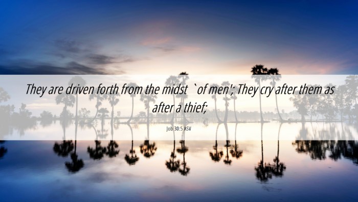 Picture 06 - Job 30:5 ASV Desktop Wallpaper - They are driven forth from the midst `of men'; - Desktop Bible Verse Wallpaper