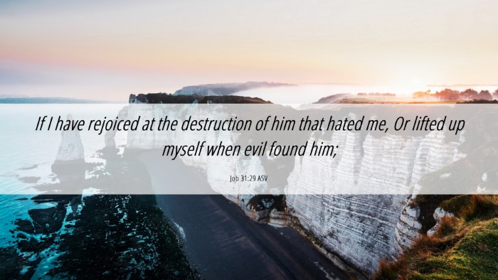 Picture 06 - Job 31:29 ASV Desktop Wallpaper - If I have rejoiced at the destruction of him that - Desktop Bible Verse Wallpaper