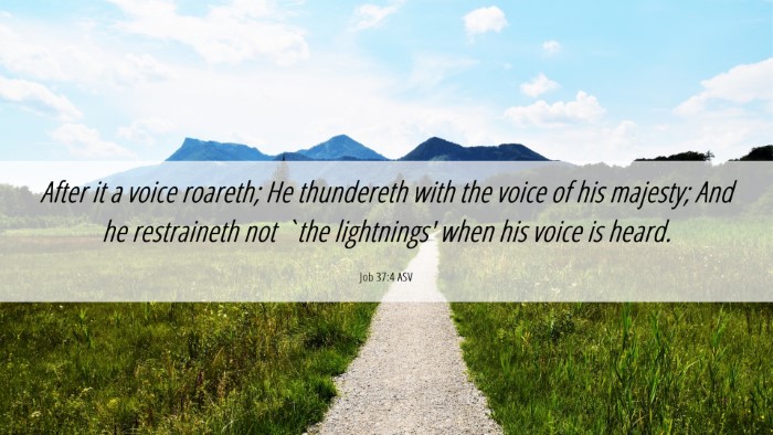 Picture 06 - Job 37:4 ASV Desktop Wallpaper - After it a voice roareth; He thundereth with the - Desktop Bible Verse Wallpaper