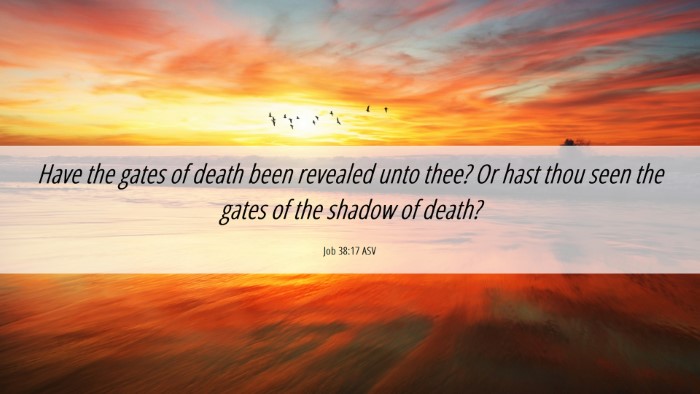 Picture 06 - Job 38:17 ASV Desktop Wallpaper - Have the gates of death been revealed unto thee? - Desktop Bible Verse Wallpaper